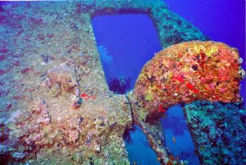 Dunraven wreck, Red Sea, Nikonos V, 16 mm by Sosnowski Nicolai 